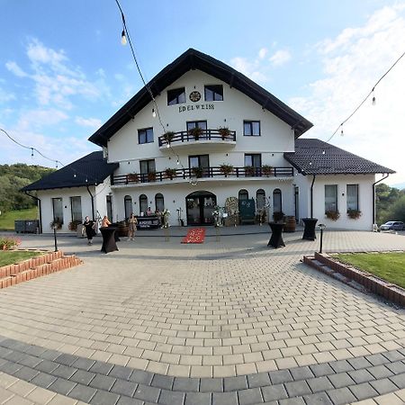 Отель Evenimente Edelweiss Bogdan Voda Экстерьер фото